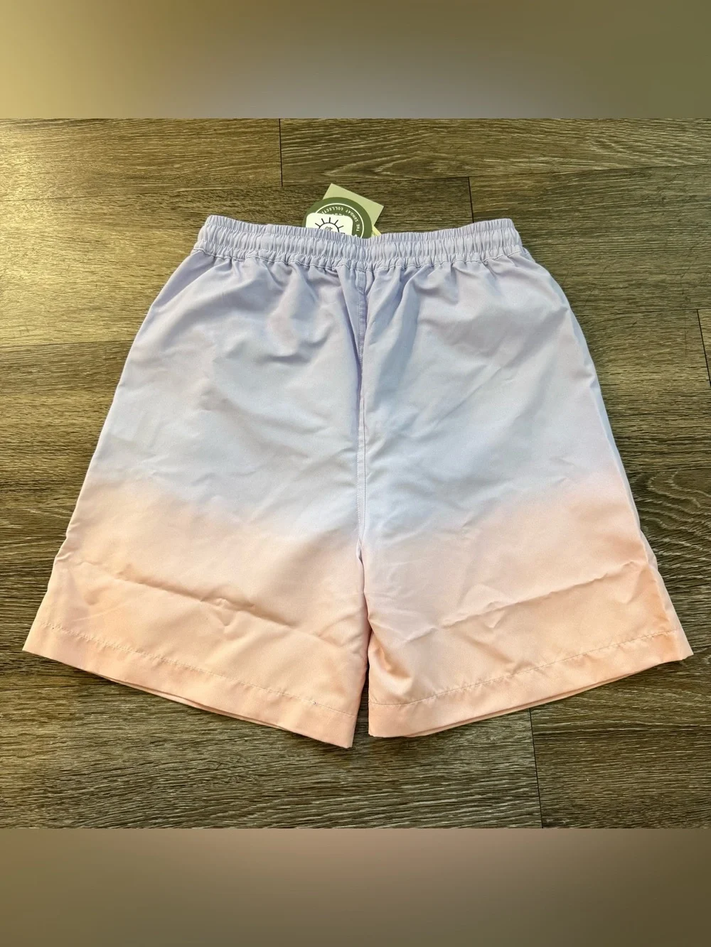 NWT The Sunday Collective Ombre Swim Trunks